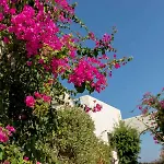 Stagones Luxury Apart Otel Ambelas