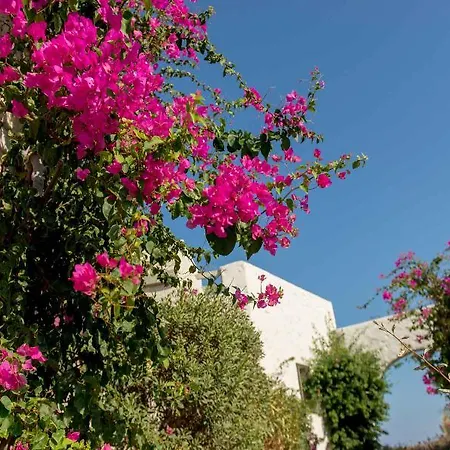 Stagones Luxury Apartahotel Ampelas